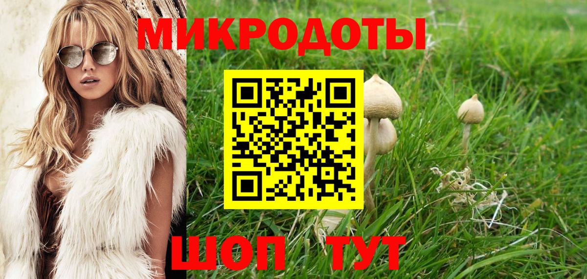 Мичуринск  купить  сайты  Вход с VPN  Псилоцибиновые грибы MAGIC MUSHROOMS 
