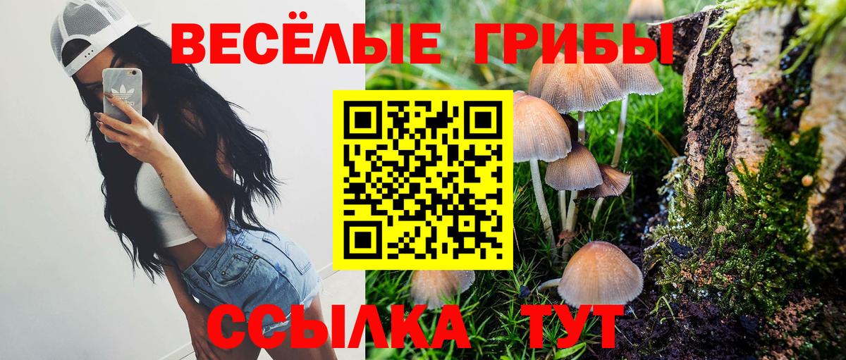 Псилоцибиновые грибы GOLDEN TEACHER Мичуринск